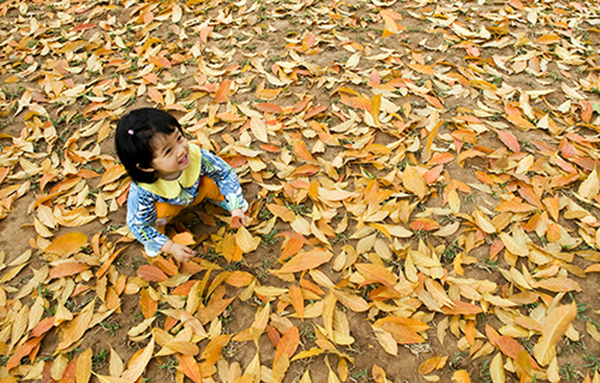 Beauty of Hanoi autumn